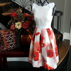Classic Micla Ted Baker Dress. Size 0 and NWOT